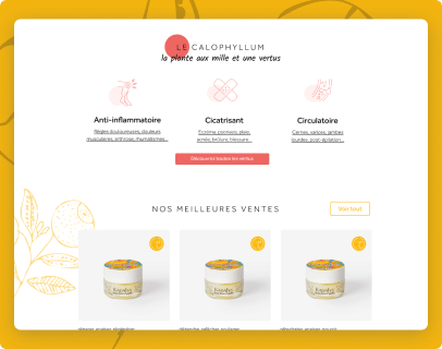 Le Calophyllum : plante aux mille vertus, anti-inflammatoire, cicatrisant, circulatoire