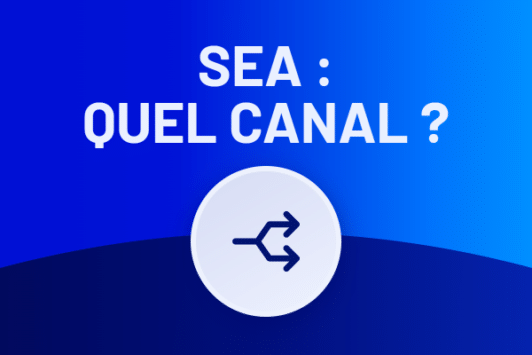 SEA et Social Ads : quel canal choisir pour vos campagnes ?